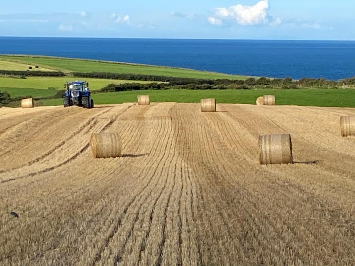 Bayview Farm Holiday Cottages Bushmills Dış mekan fotoğraf