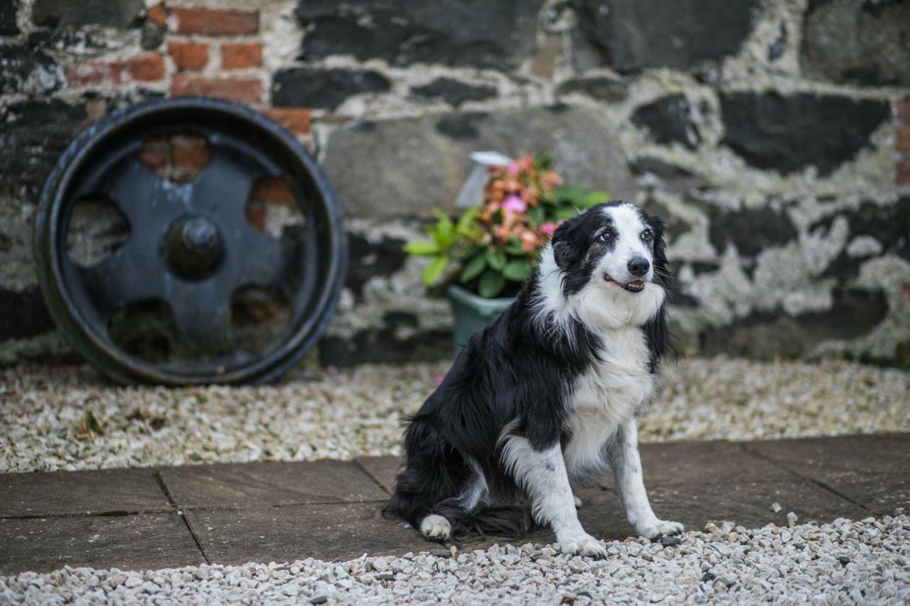 Bayview Farm Holiday Cottages Bushmills Dış mekan fotoğraf