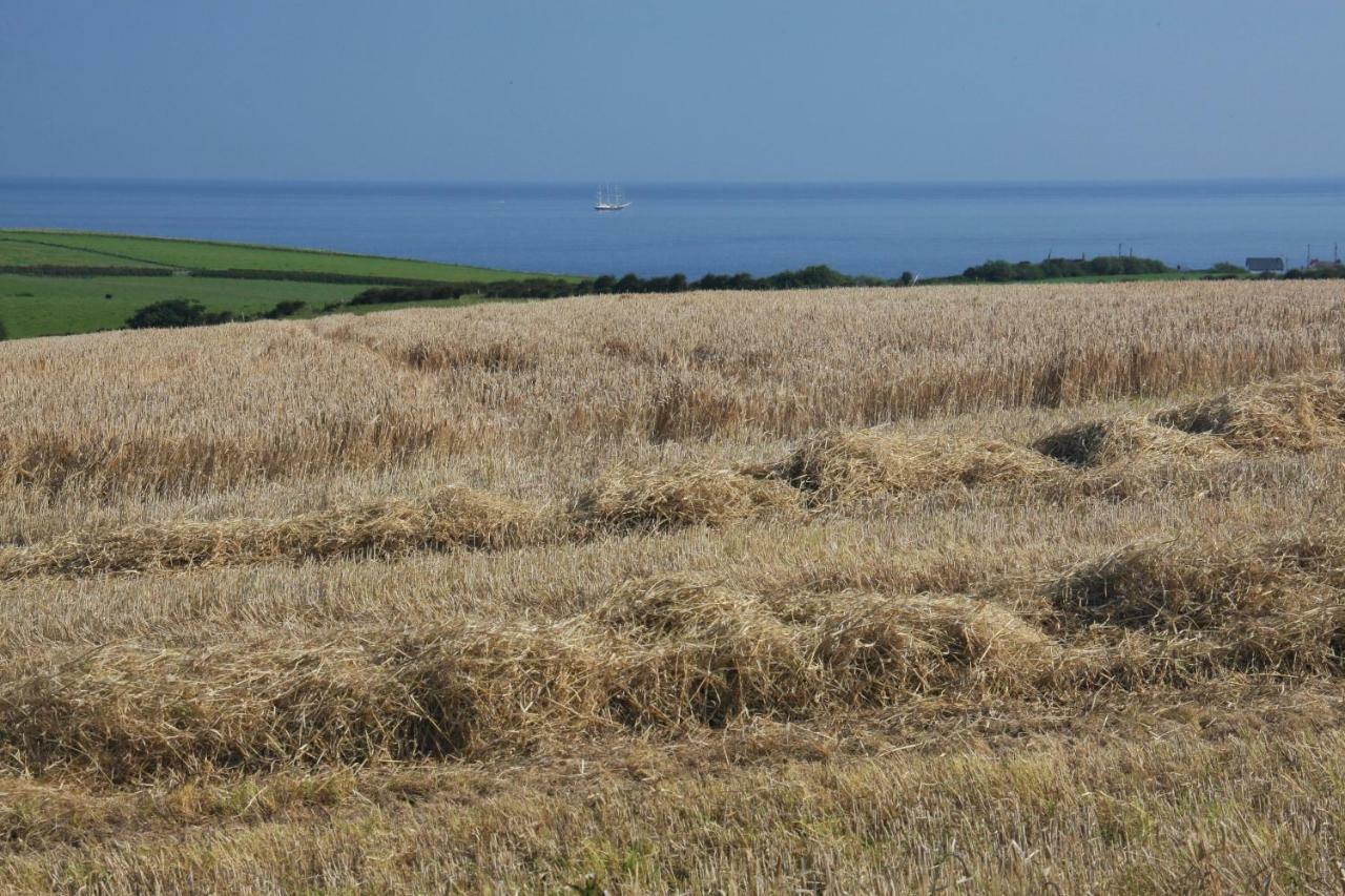 Bayview Farm Holiday Cottages Bushmills Dış mekan fotoğraf